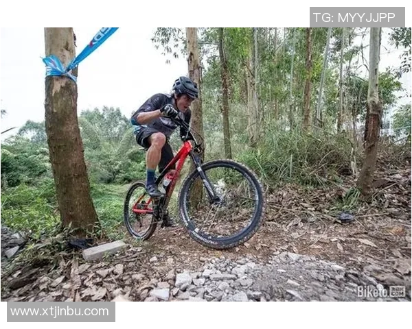 南京极限运动队战术深度解析与对比研究